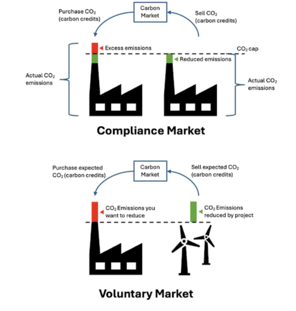 India’s carbon credit plan: CCUS vs agricultural carbon markets